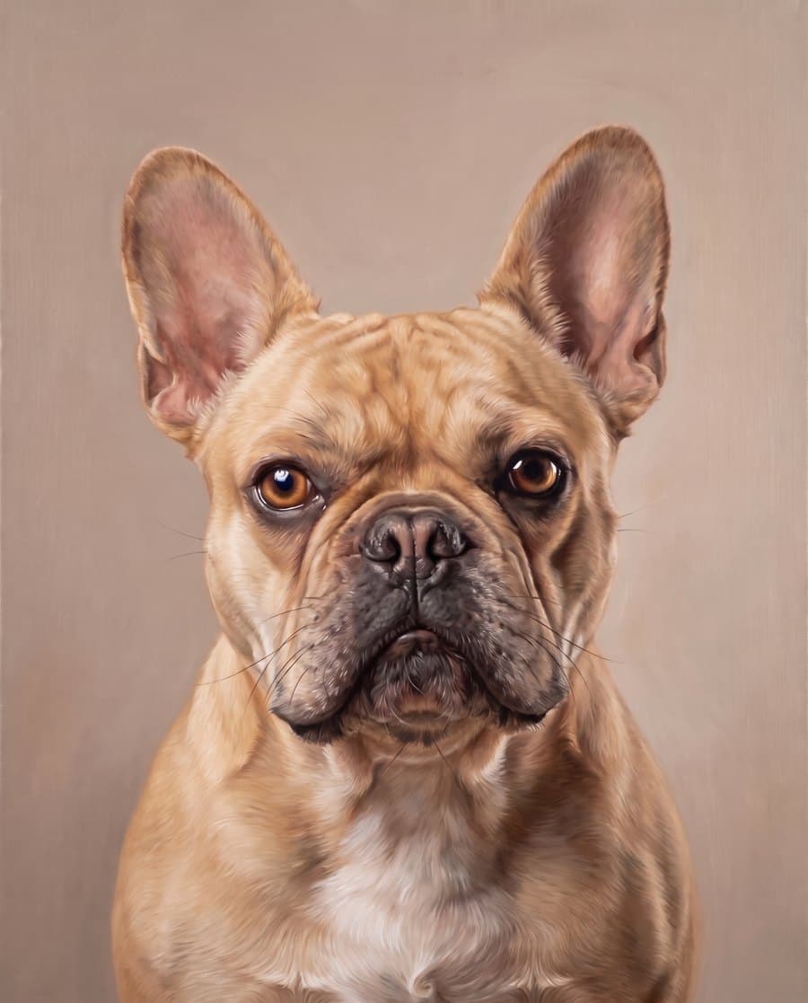 Oil painting of a French bulldog