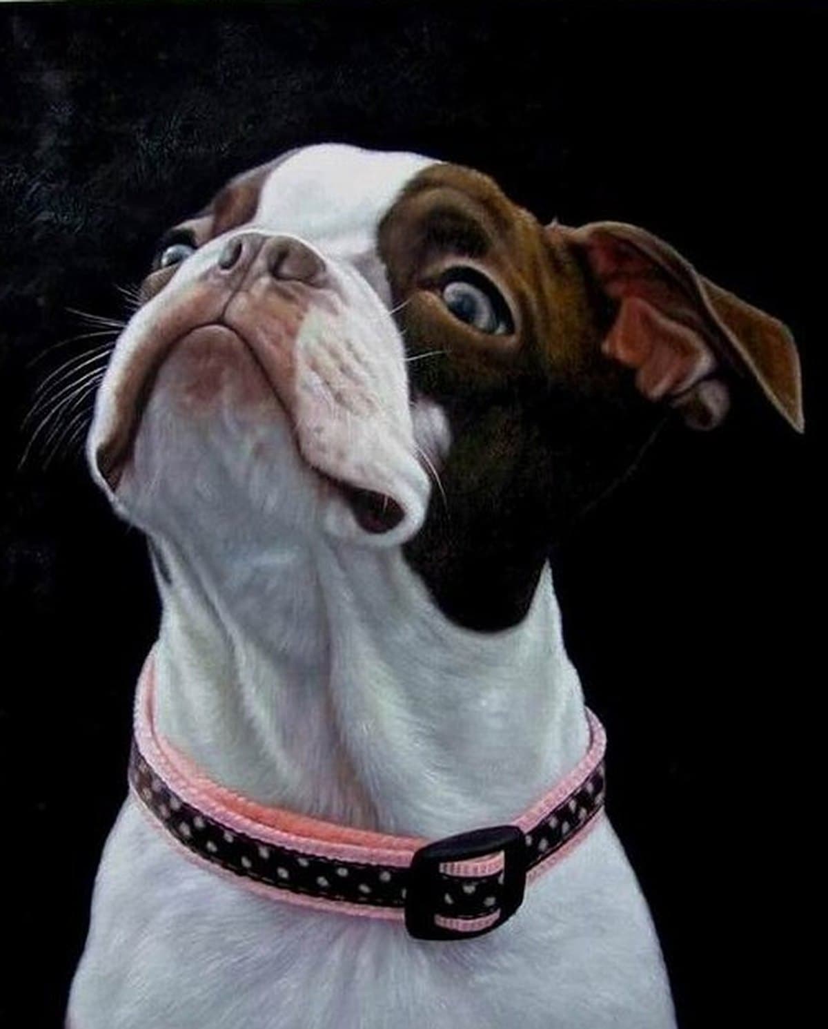 The same dog hand-painted in oil on canvas