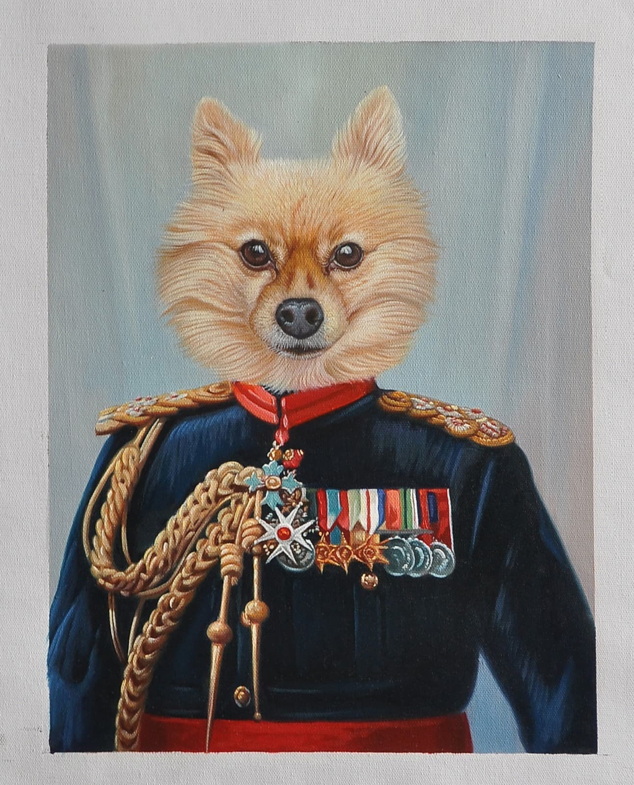 Dog Pomeranian Admiral Uniform Medals
